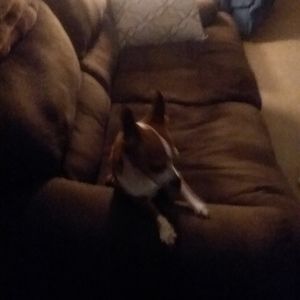 Meet your Posher, Rena